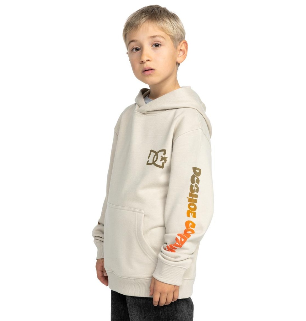 dc-shoes-hot-box-ph-boy-grey-pelican-12-m-2