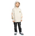 dc-shoes-hot-box-ph-boy-grey-pelican-12-m-4