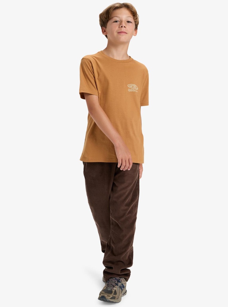 quiksilver-hw-snaky-ways-ss-youth-brown-almond-s-10-2