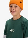quiksilver-hw-welcome-all-ss-youth-multicolor-trekking-green-m-12-1