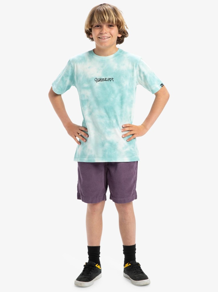 quiksilver-frog-ritual-ss-tee-youth-blue-marine-blue-xl-16-3