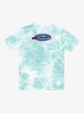 quiksilver-frog-ritual-ss-tee-youth-blue-marine-blue-xl-16-6