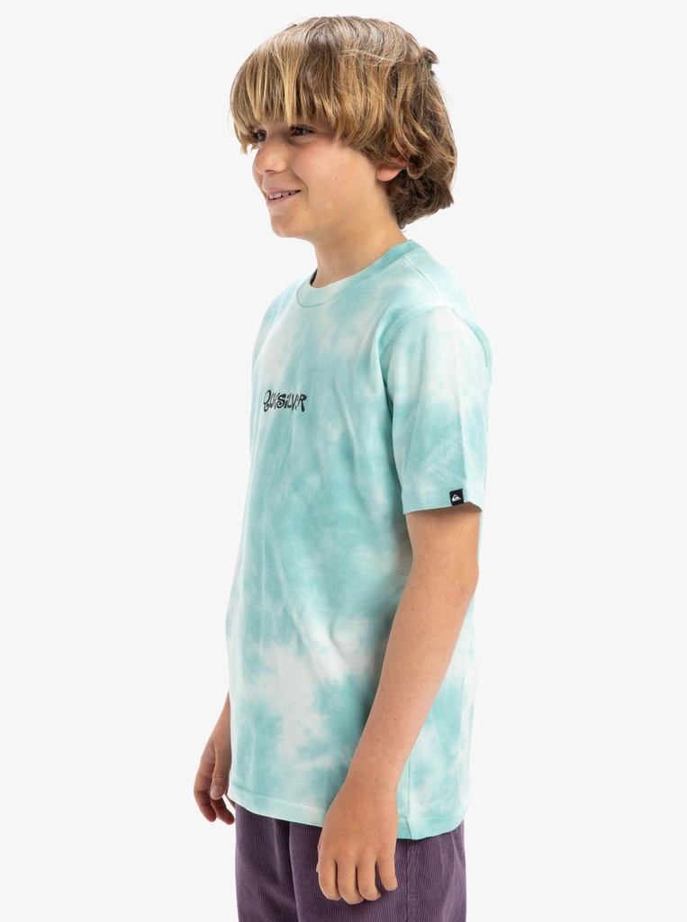 quiksilver-frog-ritual-ss-tee-youth-blue-marine-blue-xl-16-1