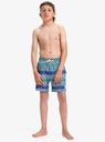 quiksilver-surfsilk-straight-volley-yth14-purple-global-heat-dusted-peri-pmg6-l-14-6