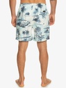 quiksilver-everyday-mix-volley-17-white-birch-s-5