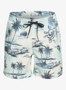 quiksilver-everyday-mix-volley-17-white-birch-s-6