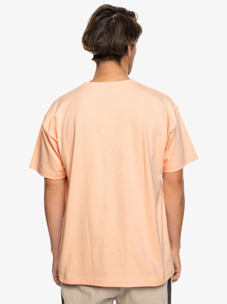 quiksilver-vintage-logo-tee-pink-peach-parfait-l-2