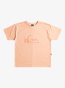 quiksilver-vintage-logo-tee-pink-peach-parfait-l-3