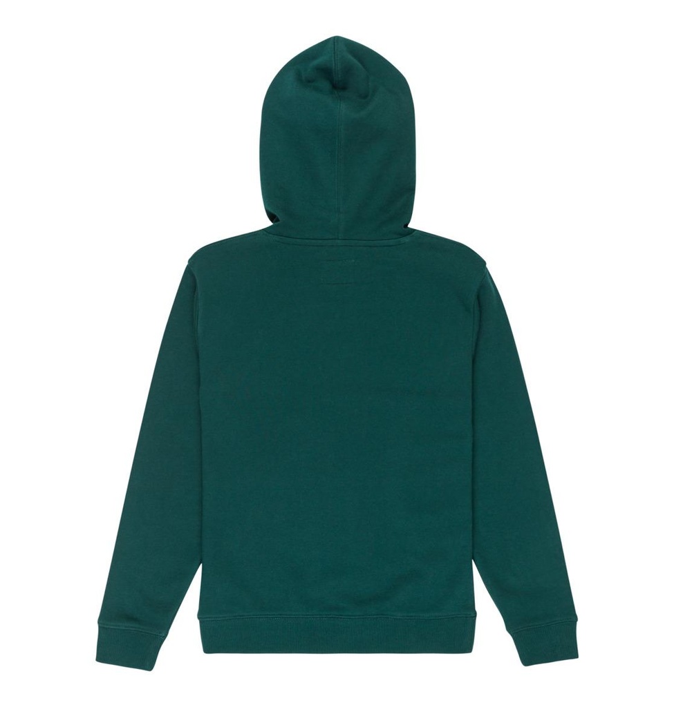 dc-shoes-dc-star-ph-boy-green-ponderosa-pine-10-s-0