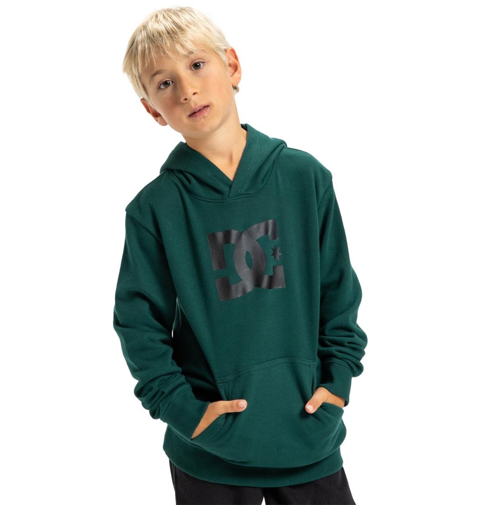 dc-shoes-dc-star-ph-boy-green-ponderosa-pine-10-s-1