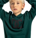 dc-shoes-dc-star-ph-boy-green-ponderosa-pine-10-s-2