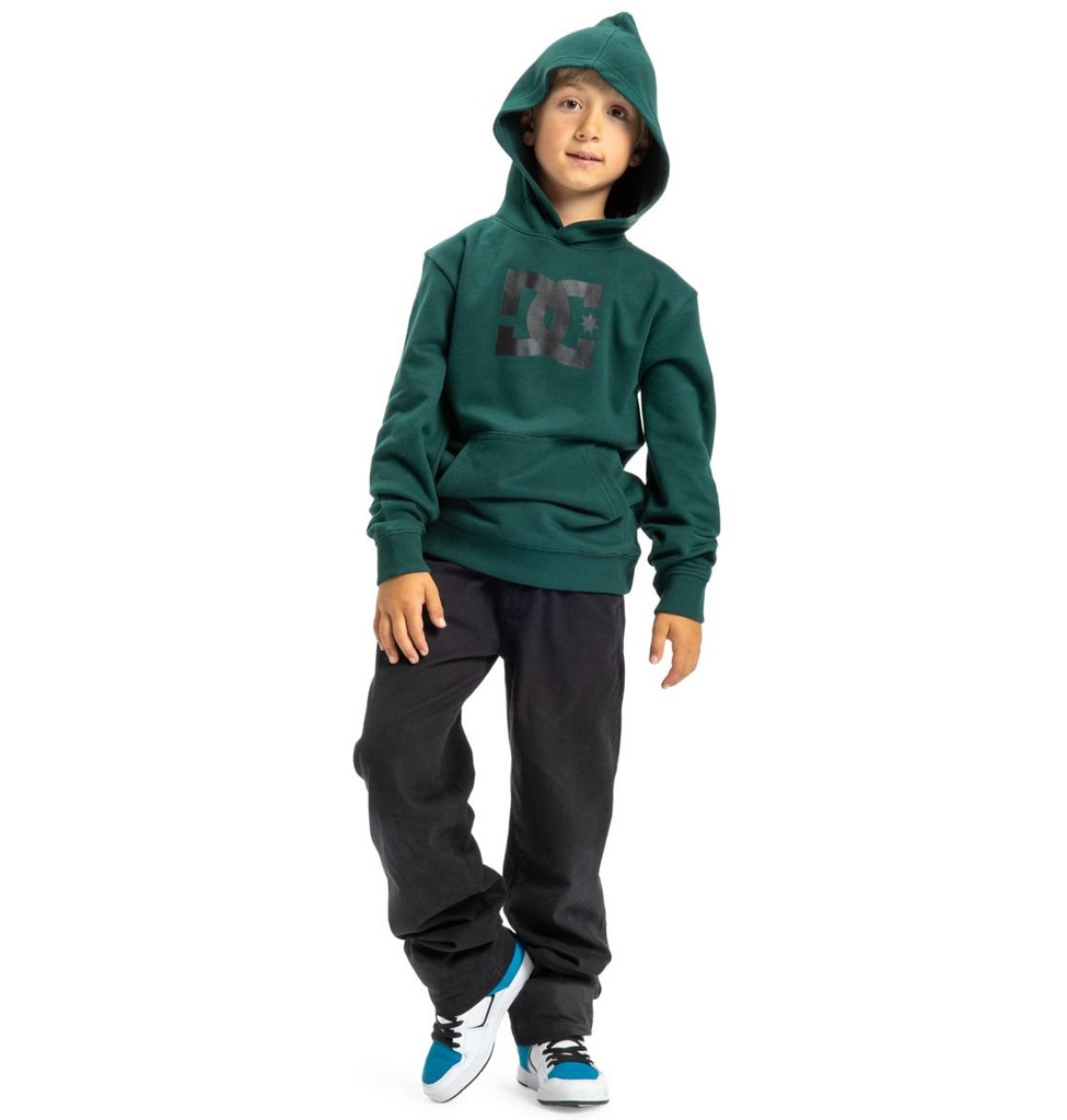 dc-shoes-dc-star-ph-boy-green-ponderosa-pine-10-s-3