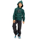 dc-shoes-dc-star-ph-boy-green-ponderosa-pine-10-s-3