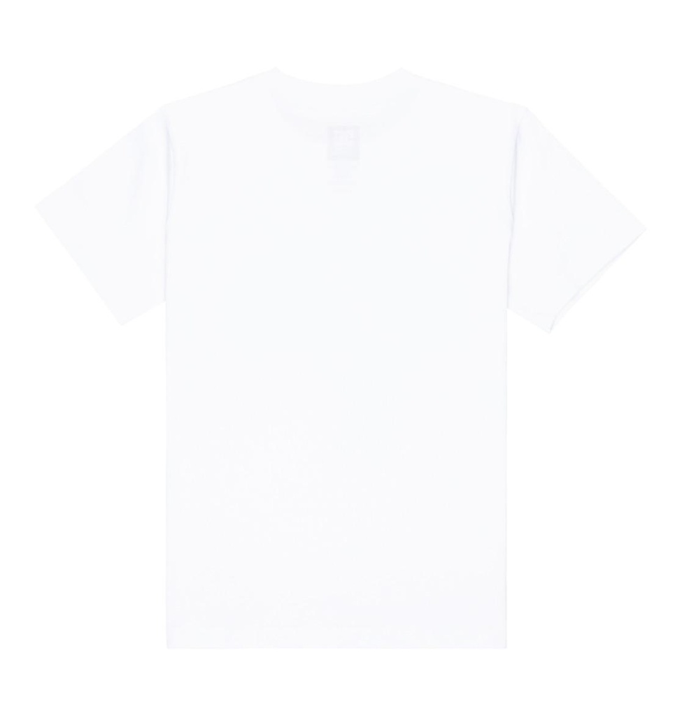 dc-shoes-dc-star-reflective-ss-boy-white-10-s-0