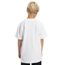 dc-shoes-dc-star-reflective-ss-boy-white-10-s-4