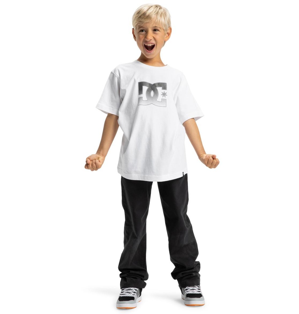 dc-shoes-dc-star-reflective-ss-boy-white-8-xs-3
