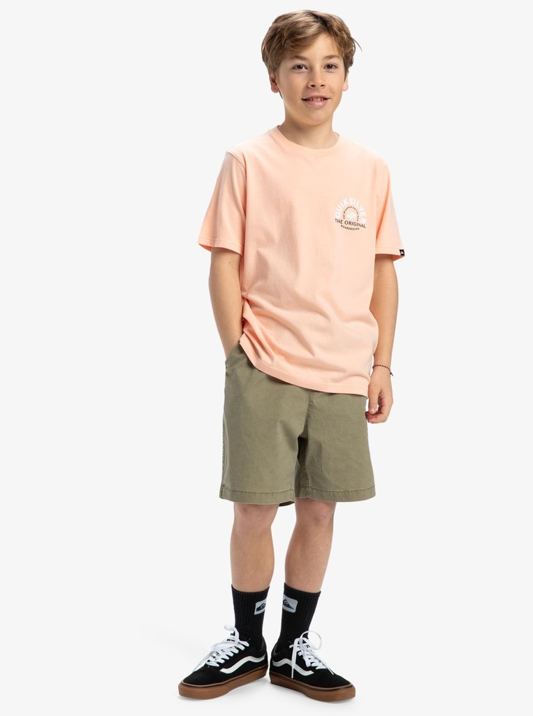 quiksilver-ev-summer-road-ss-yth-pink-peach-parfait-xl-16-2