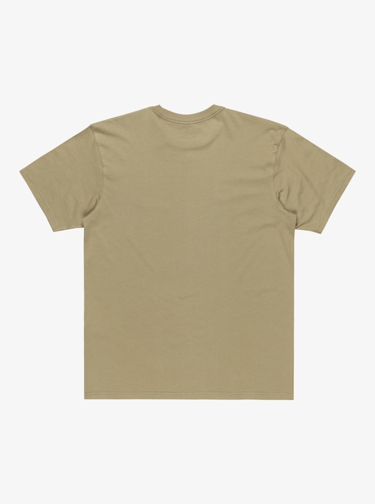 quiksilver-salt-water-tee-beige-aloe-xs-0
