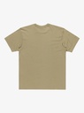 quiksilver-salt-water-tee-beige-aloe-xs-0