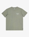 billabong-arch-ww-ss-green-grey-green-s-6-4