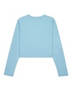 element-icon-crop-ls-w-blue-forget-me-not-xs-6-1-3
