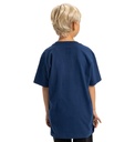 dc-shoes-substitute-ss-boy-blue-estate-blue-14-l-1