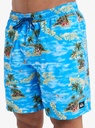 quiksilver-everyday-straight-volley-17-blue-coronet-blue-naturama-m-5-5-1