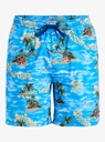 quiksilver-everyday-straight-volley-17-blue-coronet-blue-m-5-7