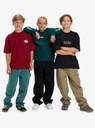 quiksilver-mercury-straight-out-pant-yout-green-botanical-garden-30-16-3