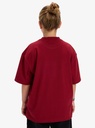 quiksilver-mercury-double-up-ss-tee-yth-red-biking-red-s-10-4