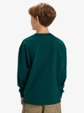 quiksilver-mercury-old-english-ls-yth-green-botanical-garden-xs-8-4