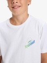 quiksilver-ev-star-ride-ss-youth-white-l-14-1