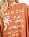billabong-jumps-in-water-brown-sunburnt-s-8-4