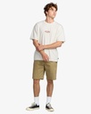 billabong-bad-dog-og-ss-beige-cement-l-4-1