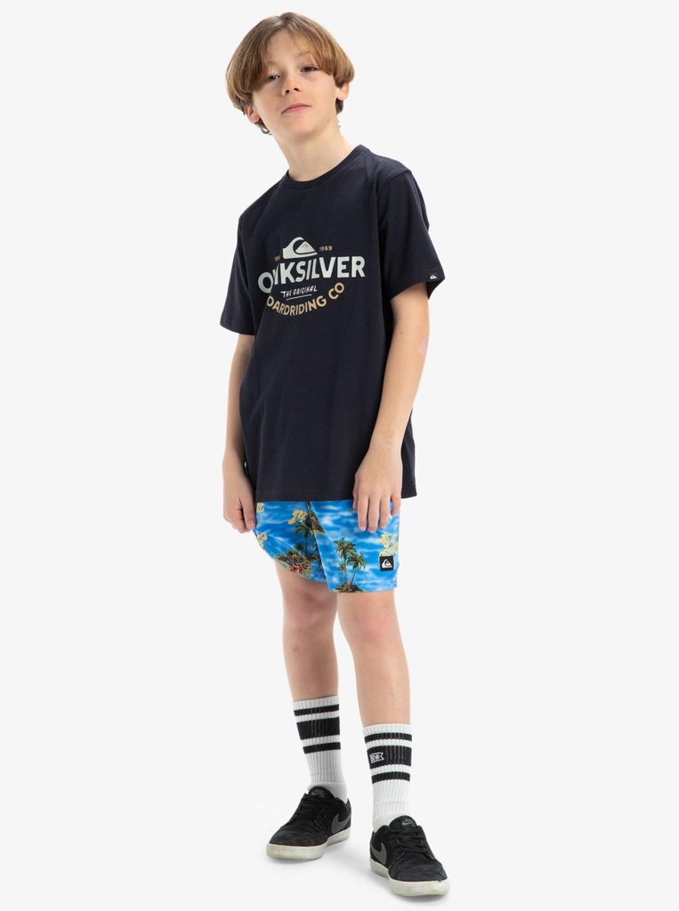 quiksilver-everyday-straight-volley-yth14-blue-coronet-blue-naturama-m-12-8-4