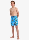 quiksilver-everyday-straight-volley-yth14-blue-coronet-blue-naturama-m-12-8-3