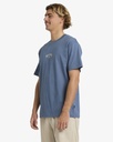 billabong-rose-arch-regular-ss-grey-steel-blue-s-6-2