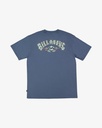 billabong-rose-arch-regular-ss-grey-steel-blue-s-6-5