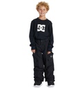 dc-shoes-banshee-youth-pant-black-8-xs-9-0
