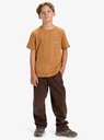 quiksilver-taxer-cord-pant-youth-brown-chocolate-brown-l-14-1-2