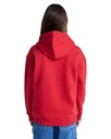 element-element-co-po-y-red-lava-falls-s-10-8-6