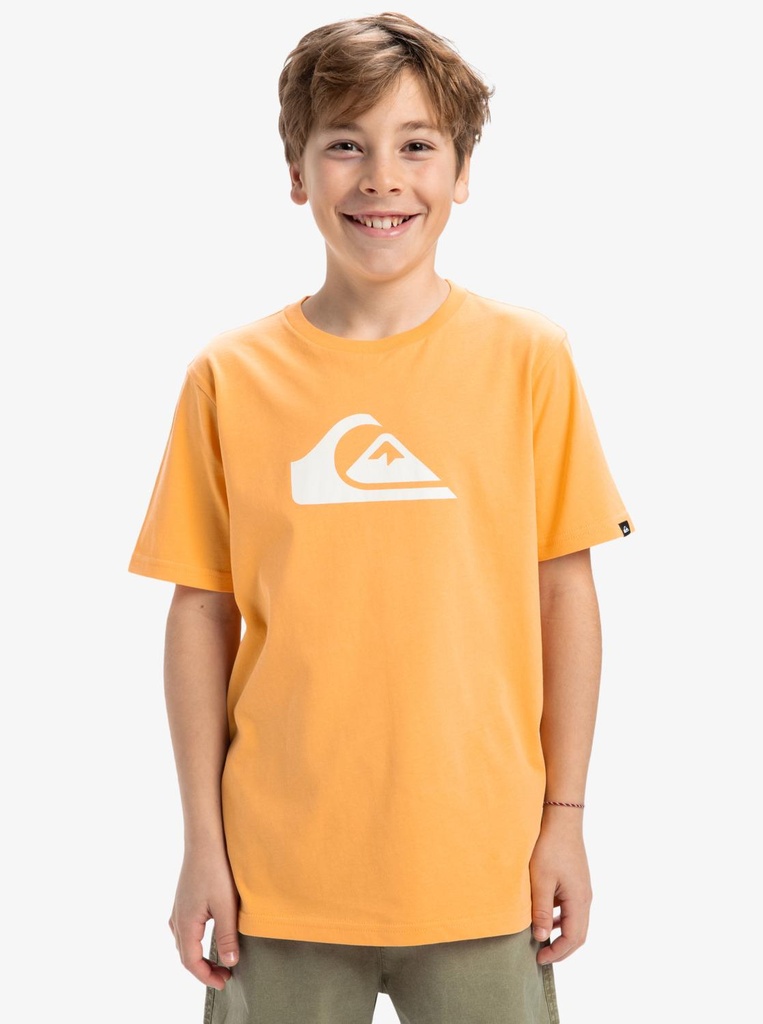 quiksilver-ev-comp-logo-ss-yth-orange-chamois-xl-16-8c-0