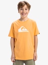 quiksilver-ev-comp-logo-ss-yth-orange-chamois-xl-16-8c-0