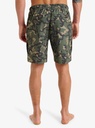 quiksilver-half-jam-cargo-19-beige-aloe-butancamo-30-3