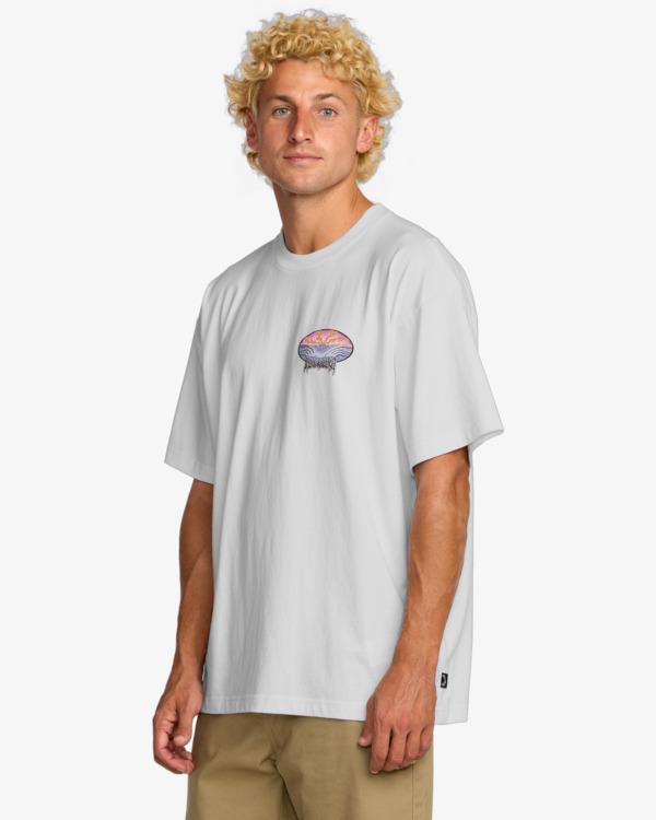 billabong-quadriple-og-ss-white-xl-3