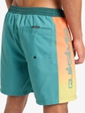 quiksilver-everyday-holmes-volley-17-green-deep-sea-holmes-m-2-2
