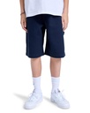 element-carpenter-twill-wk-y-blue-eclipse-navy-l-14-2