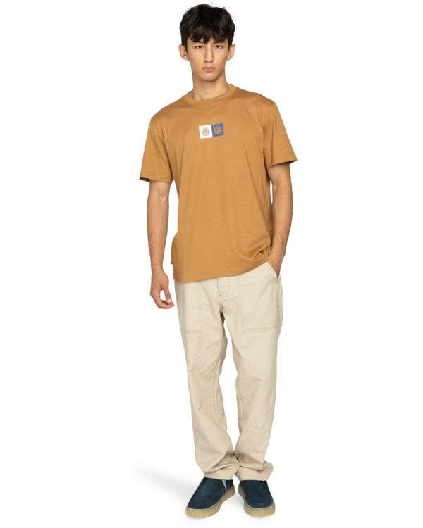 element-dual-ss-brown-chipmunk-m-f-2