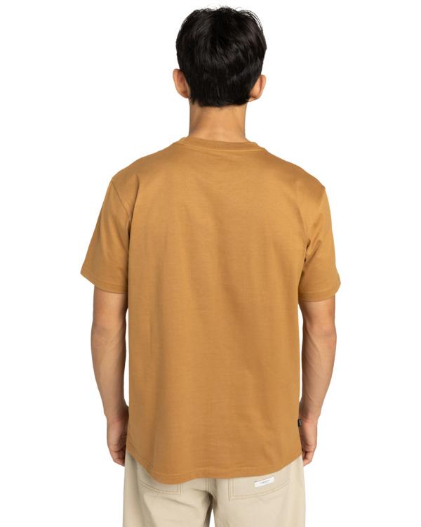 element-dual-ss-brown-chipmunk-m-f-3
