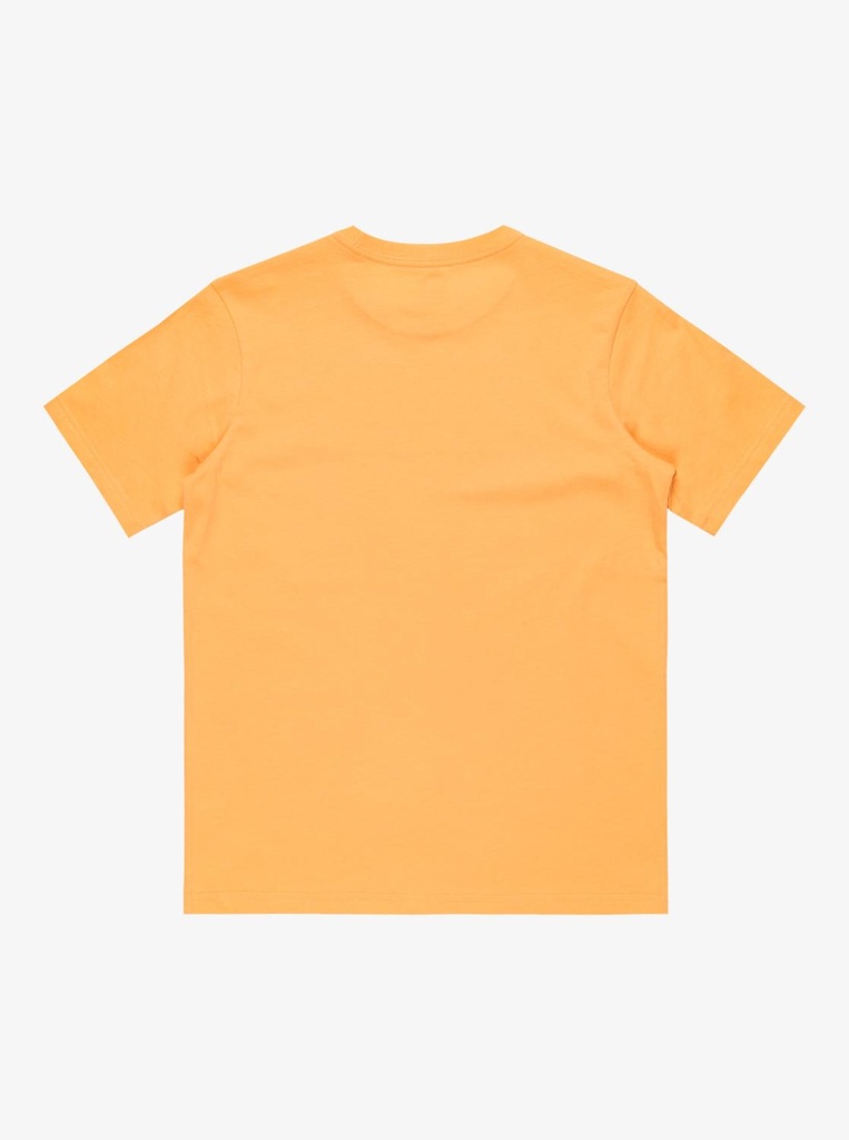 quiksilver-ev-sun-faded-yth-orange-chamois-xl-16-0